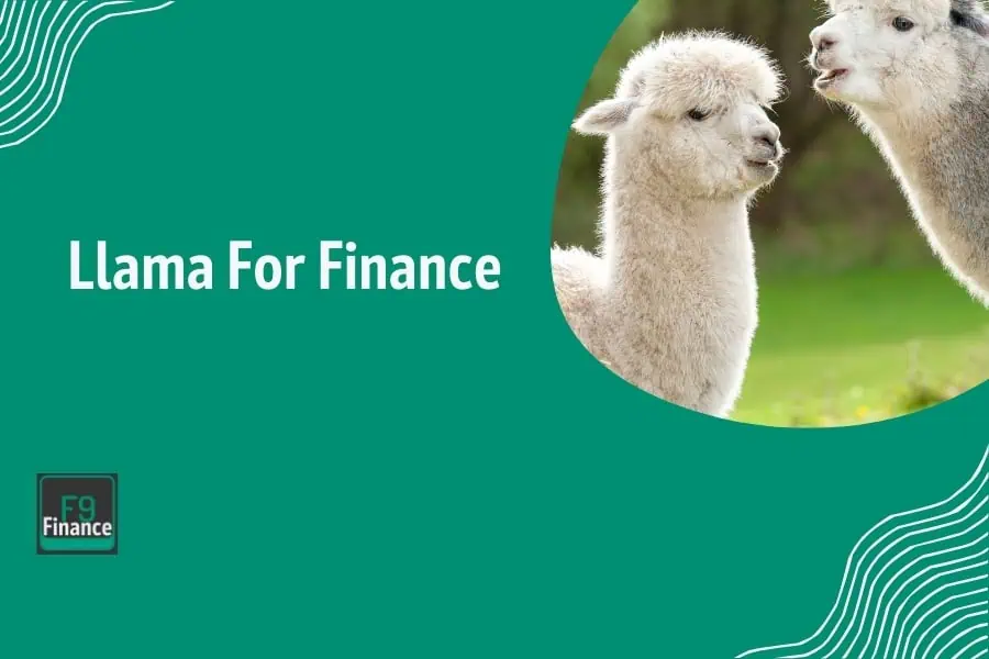 Llama for finance overview