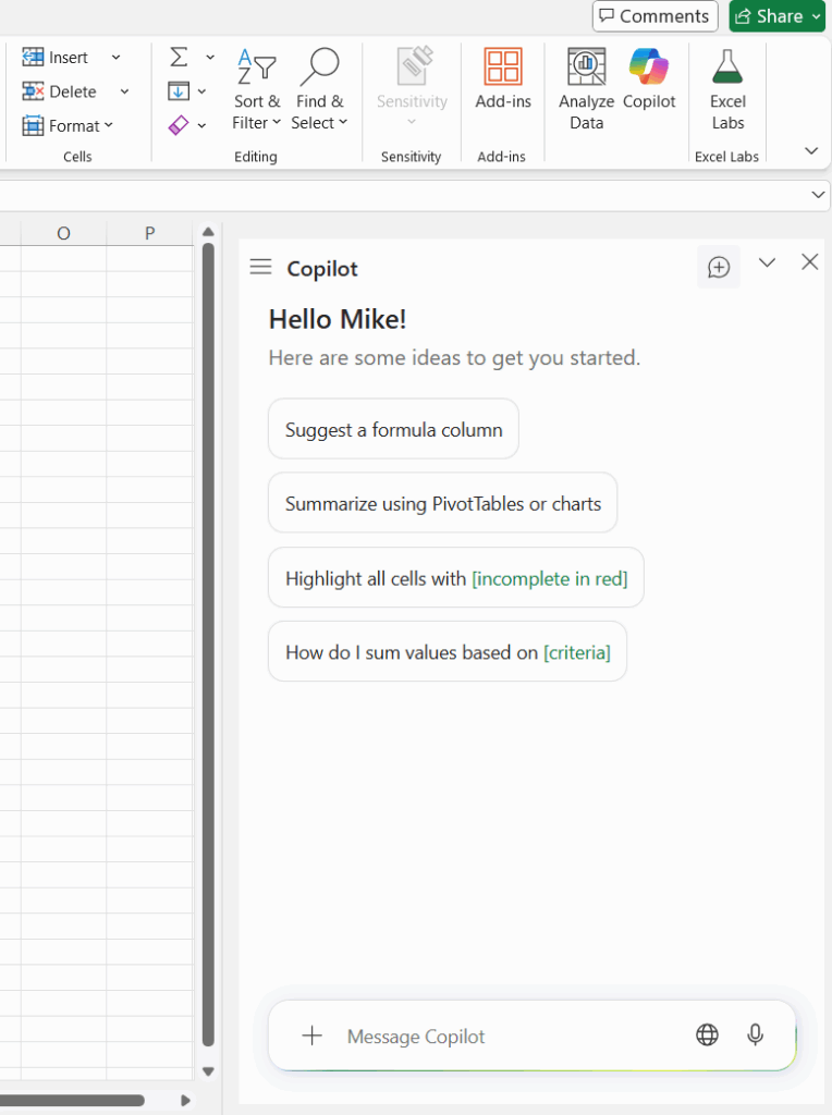 Copilot chat window in Excel